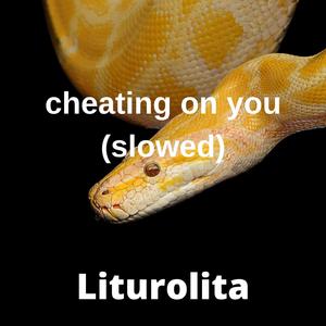 ㊙️羞羞视频免费看网站
